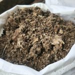 Dried Chicken Dung